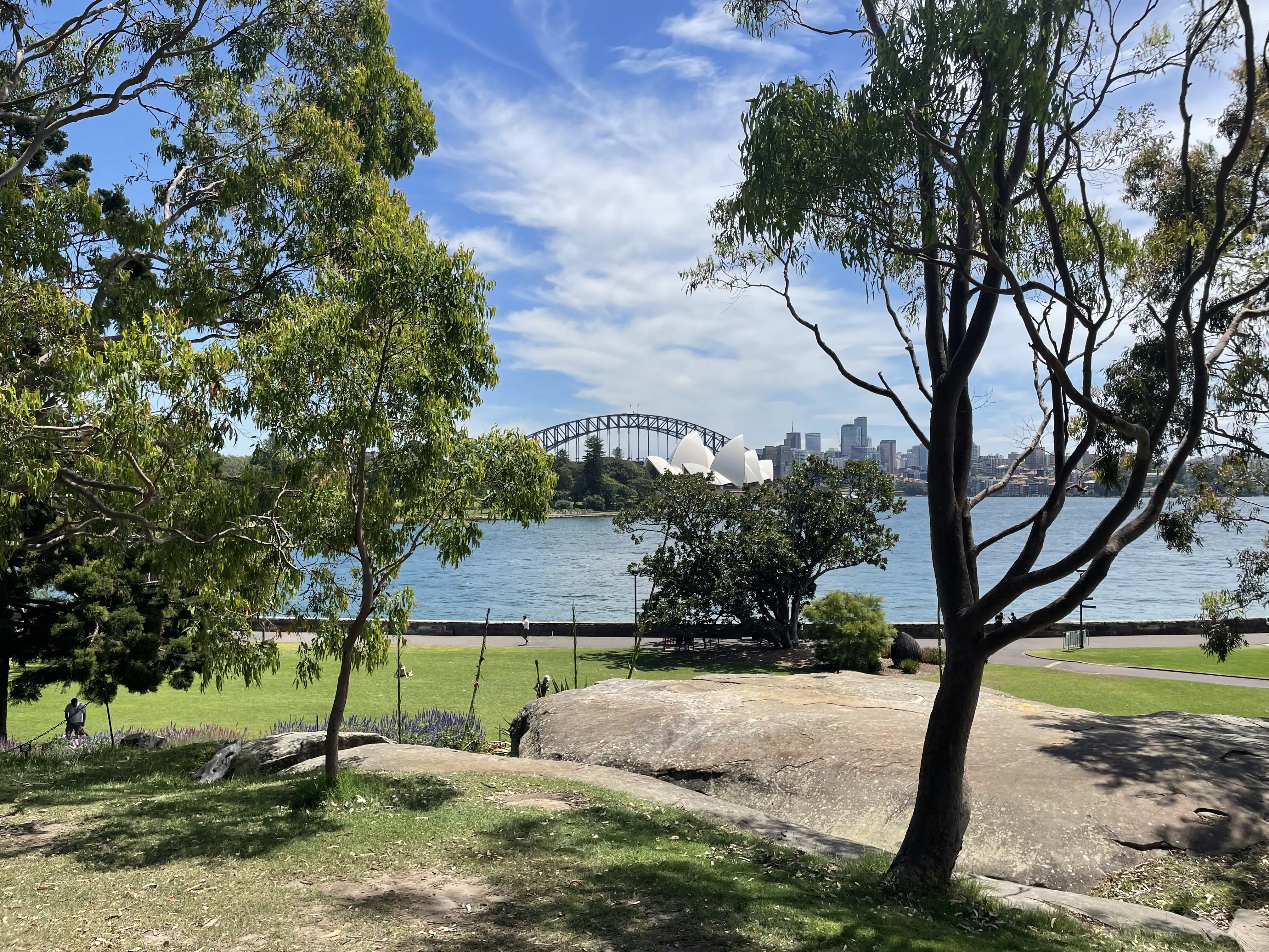 Harbour View Lawn in Sydney, a green calm park with view of the Ocean, Opera House and Harbour Bridge