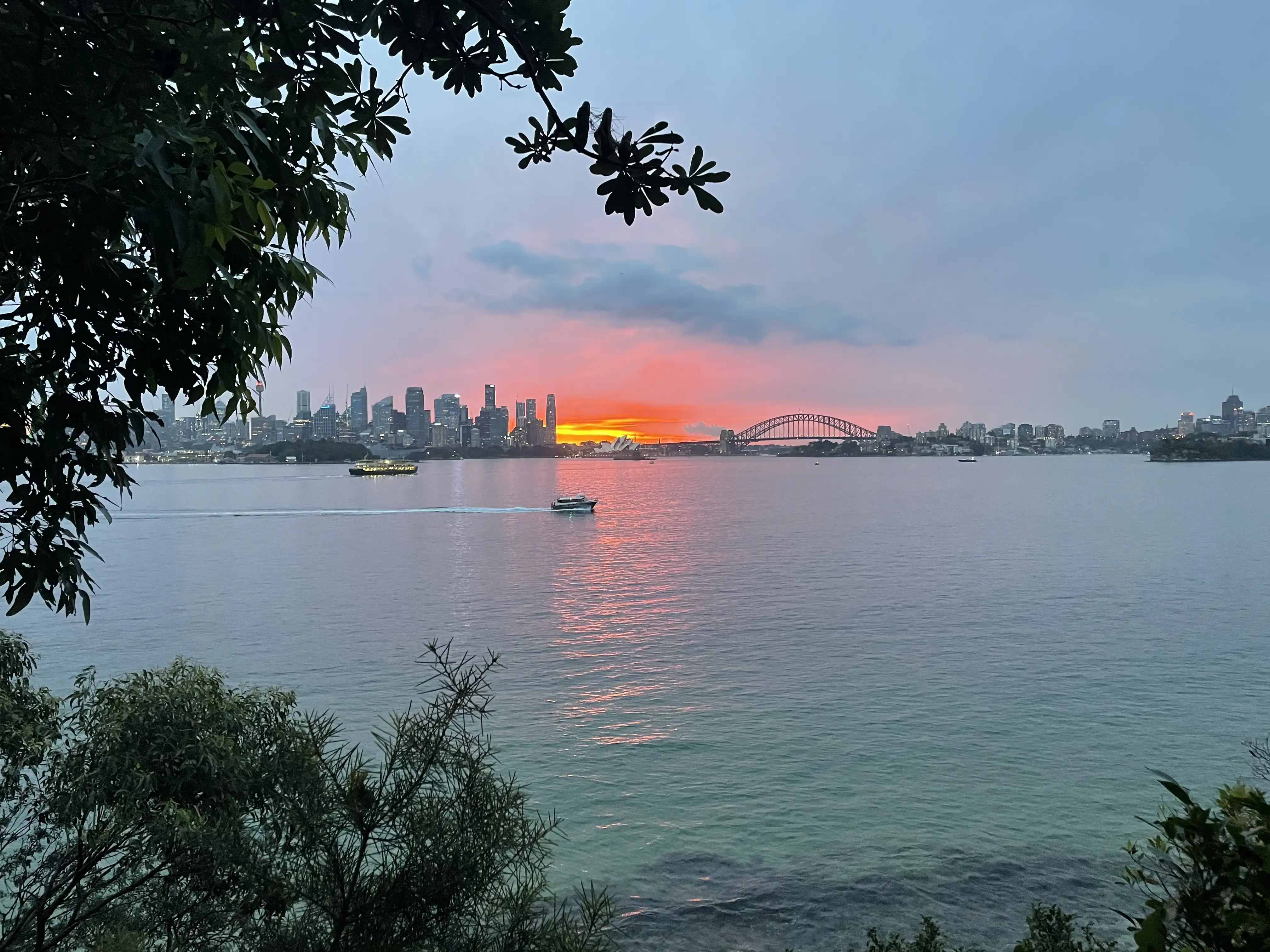 Intense Orange Sunset at Port Jackson Bay in Sydney, with the sun setting behind Opera House and Harbour Bridge, seen from a park with the Ocean in front
