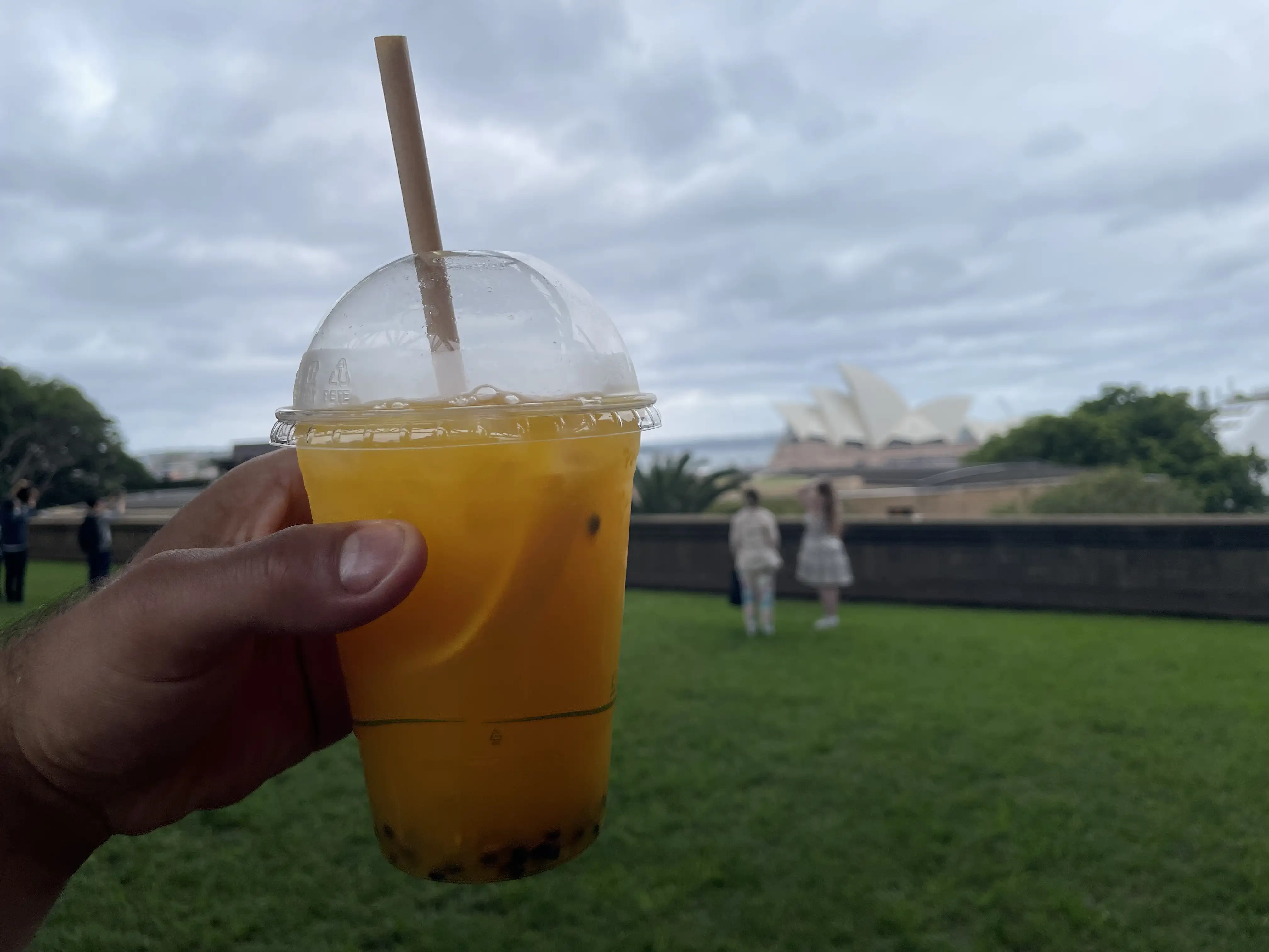 Passionfruit Ice Tea and The Rocks Market in Sydney, with Opera House view from a calm lawn
